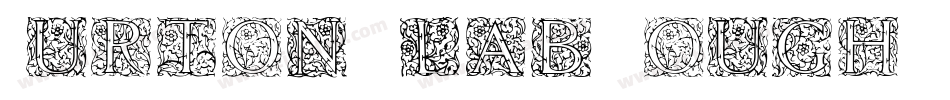 Burton Slab Rough字体转换